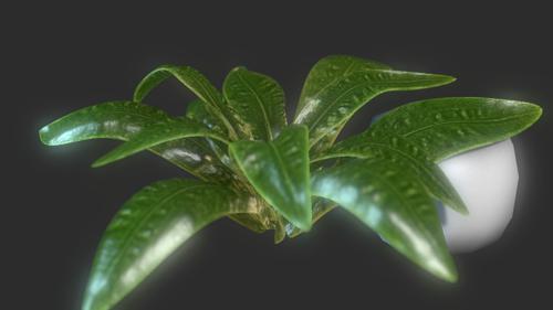 Plant preview image